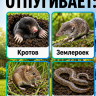 Торнадо ОЗВ.02 - вибрационный отпугиватель кротов и змей на батарейках