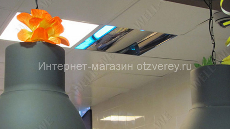 WL-LPK01-2x20-22 PT (STANDART) - декоративная клеевая ловушка насекомых