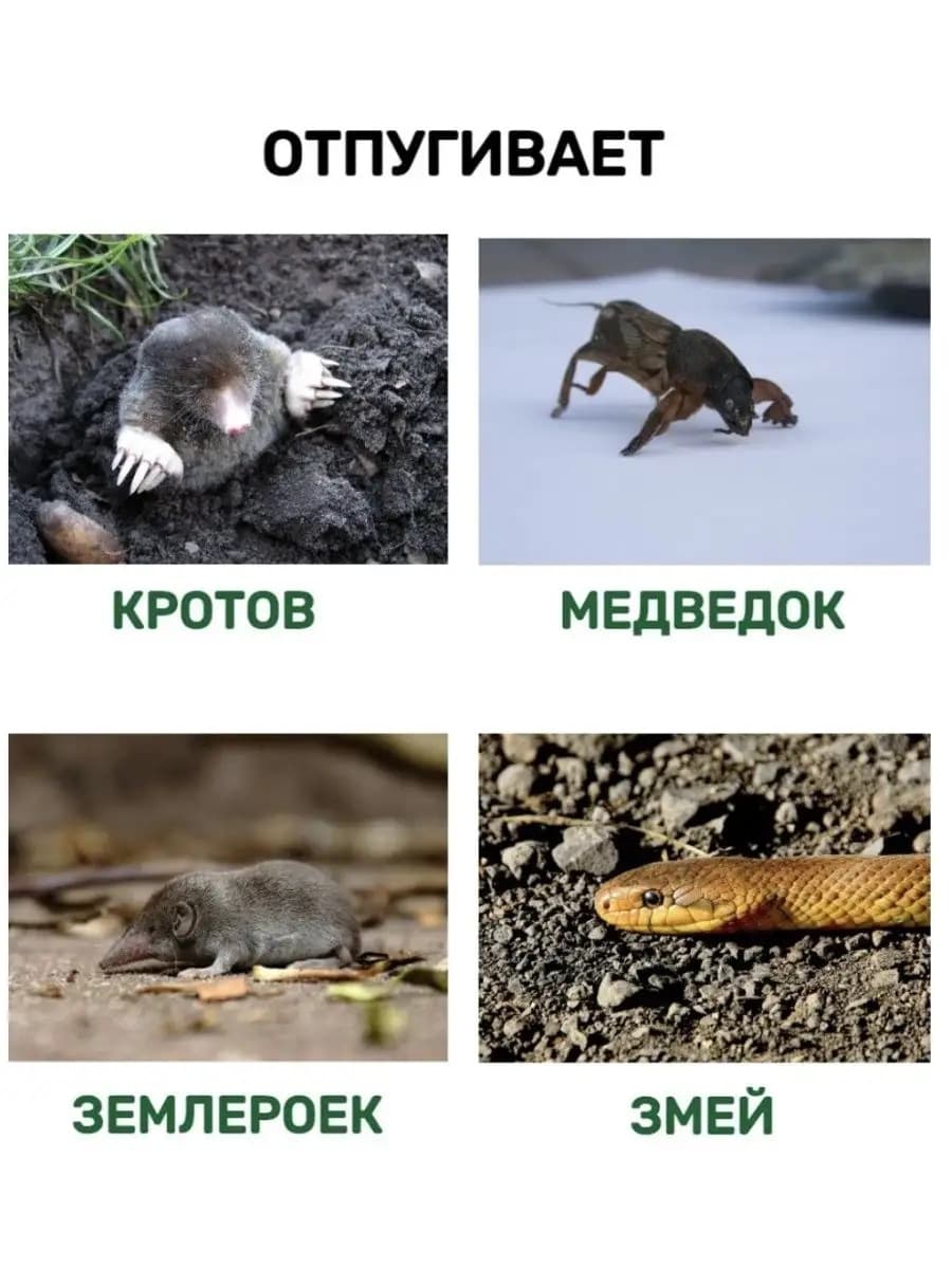 Отпугиватель кротов и змей ЭкоСнайпер LS-997MR + 4 батарейки