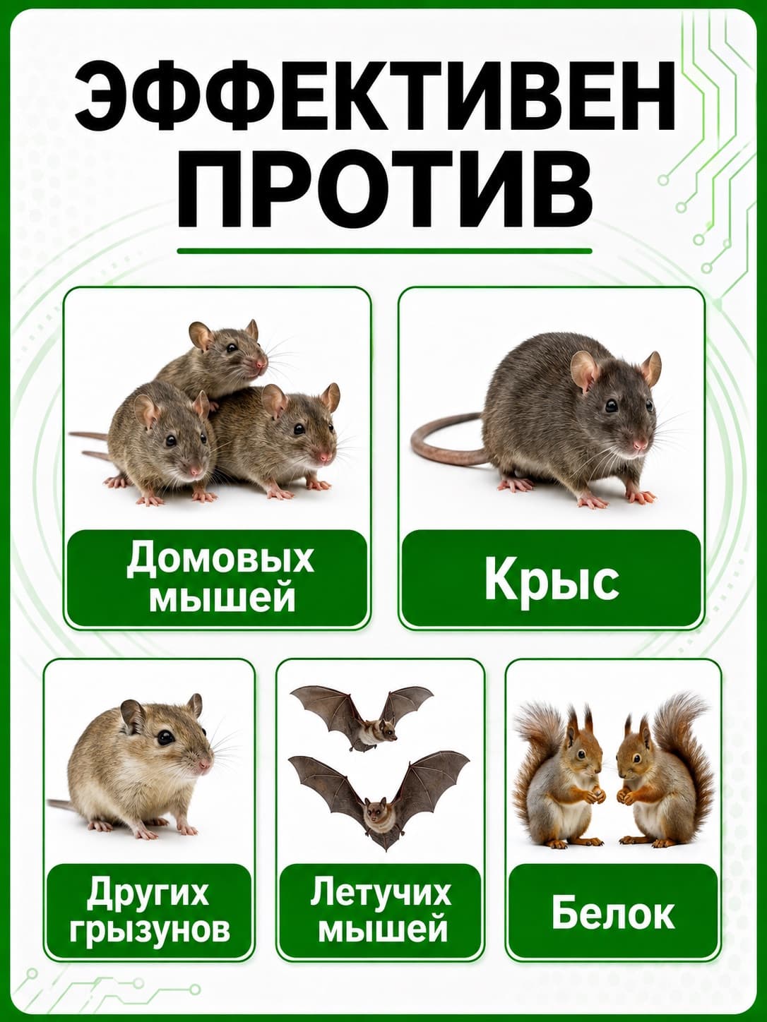 Отпугиватель грызунов Чистон-300