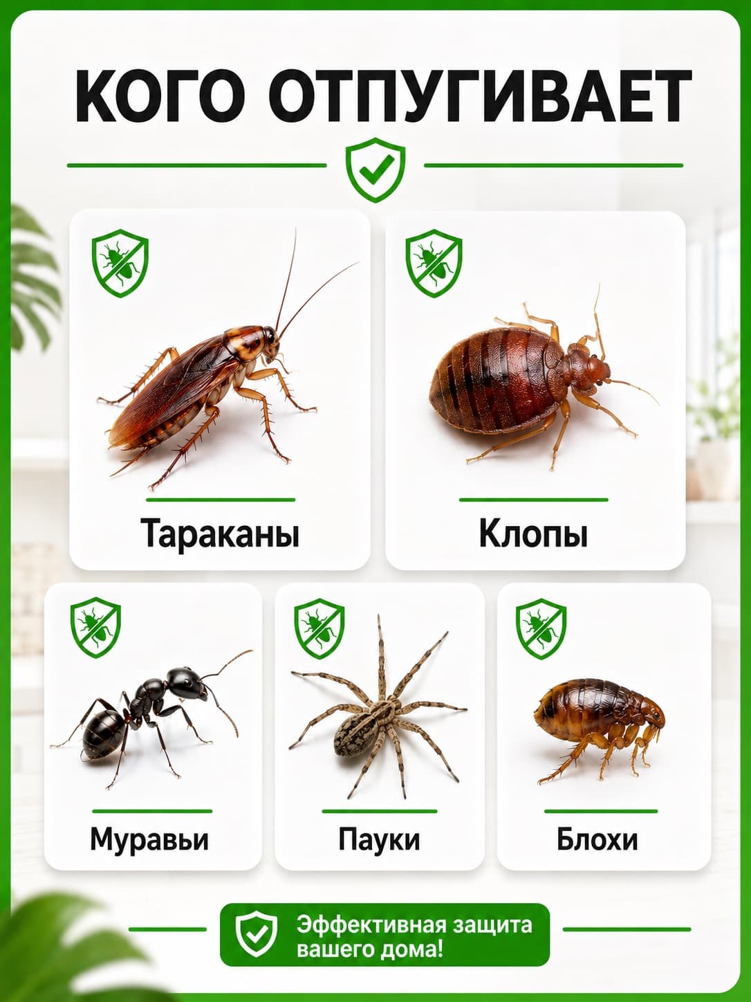 Торнадо ОТАР-1 - мощный ультразвуковой отпугиватель тараканов