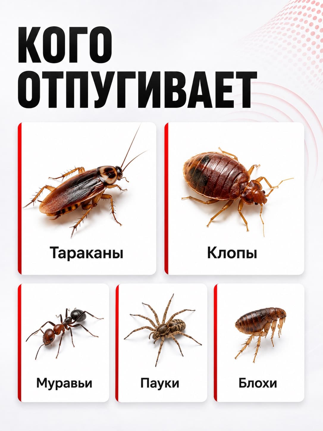 Ультразвуковой отпугиватель тараканов Тайфун ЛС-500