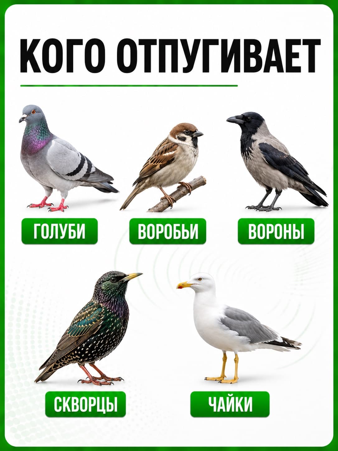 Шипы от птиц антиприсадные Jinshi 10 шт по 50 см