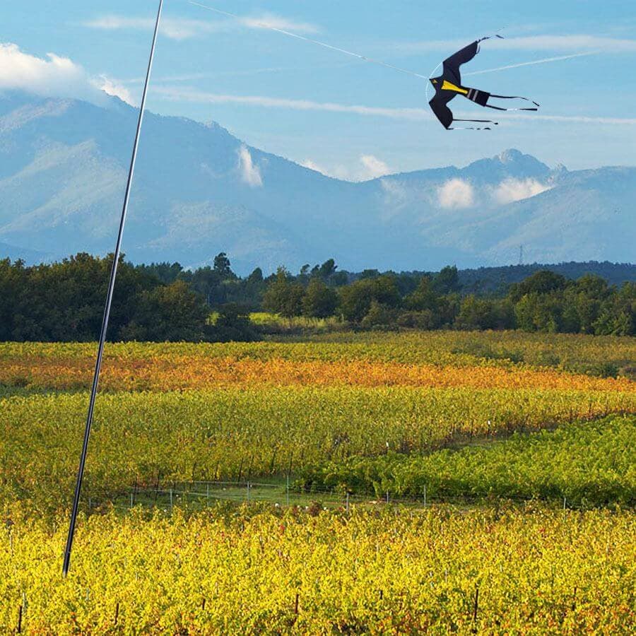 Комплект воздушный змей Крук и флагшток 8 м - отпугиватель птиц — змей над полем