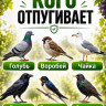 Лента от птиц Sititek 100 м 5 см светоотражающая
