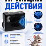 Отпугиватель грызунов ультразвуковой Тайфун ЛС-600