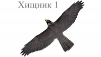 Визуальный отпугиватель птиц Хищник 1 (100х48 см)