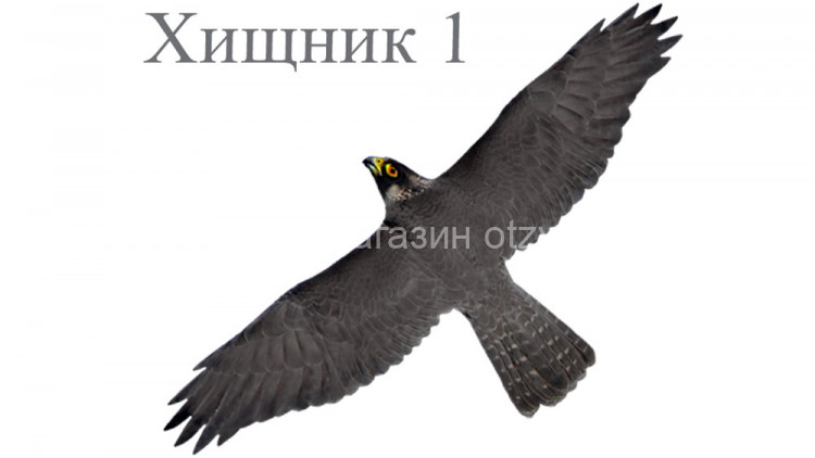 Визуальный отпугиватель птиц Хищник 1 (100х48 см)