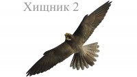 Визуальный отпугиватель птиц Хищник 2 (80х32 см)