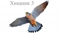 Визуальный отпугиватель птиц Хищник 3 (80х40 см)