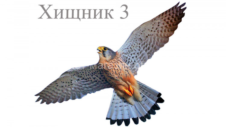 Визуальный отпугиватель птиц Хищник 3 (80х40 см)